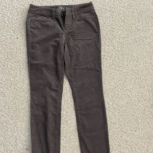 Ann Taylor Loft Corduroy Pants